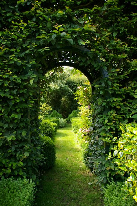 Entrance Garden Ideas, Box Gardens, Wild Flower Garden, Westbury Gardens, Garden Archway, Entrance Garden, Evergreen Garden, French Country Garden, Hidden Garden