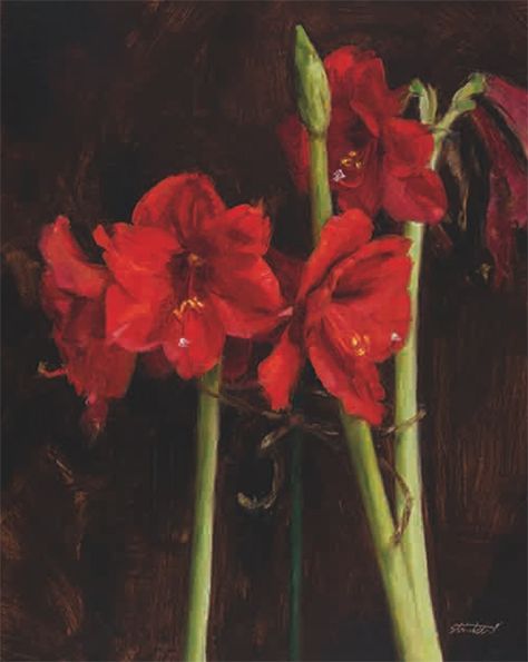 How to paint an Amaryllis - How To - Artists & Illustrators - Original art for sale direct from the artist Paintings Of Amaryllis, Amaryllis Aesthetic, Amaryllis Painting, January Flowers, Amaryllis Arrangement, Teresa Oaxaca, Robert Liberace, Lynn Boggess, Amaryllis Christmas