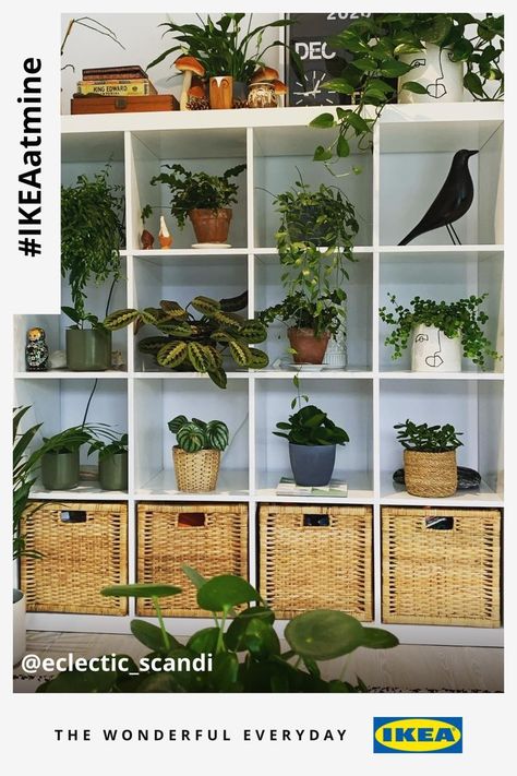 Breathe new life into your home décor with flowersplants and floral printsBringing the outside in is a key trend this seasonplus surrounding yourself with greenery simply makes you feel goodCheck out our range of plantsvasespots and prints. Ikea Cube Shelves, Ikea Cubes, Arch Inspiration, Ikea Uk, Ikea Units, Ikea Kallax Shelf, Ikea Australia, Kallax Shelving Unit, Cube Storage Unit