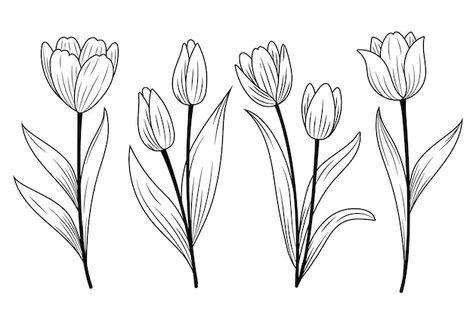 Tulip Flower Drawing Simple, Tulips Line Drawing, Tulip Sketch Simple, Simple Tulip Drawing, Tulip Drawing Simple, Tulip Embroidery Pattern, Tulips Line Art, Tulip Line Drawing, March Doodles