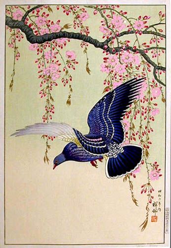 Cherry Blossoms and Pigeon by Ohara Koson, 1931 (published by Watanabe Shozaburo) Shin Hanga, Woodblock Printing, Ohara Koson, Kanazawa, Japanese Woodblock, Art Japanese, Japanese Woodblock Printing, Art Japonais, Japanese Painting