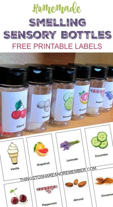 Scent Bottles Preschool, Olfactory Sensory Activities, Sensory Room Ideas Schools, 5 Senses Preschool, Science Center Preschool, Five Senses Preschool, All About Me Preschool Theme, 5 Senses Activities, Me Preschool Theme