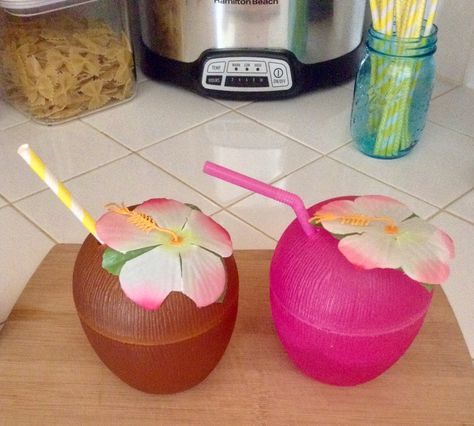 Dollar Tree Coconut Cups! So cute for Summer! Moana Jello Cups, Diy Kakamora Coconut, Moana Coconut Cups, Hawaii Tumbler Cups, Beach Cups, Coconut Cups, Mermaid Stuff, Swim Party, Moana Birthday Party