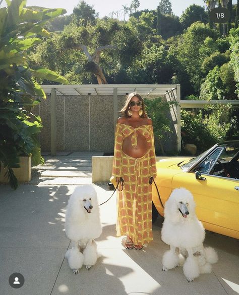 Tezza Barton, Slim Aarons Photos, Slim Aarons Photography, Electric Colors, Belly Pics, Film Effect, Poolside Party, Get Funky, Slim Aarons