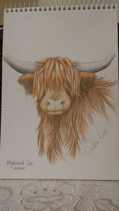 Highland cow sketch coloured pencil Drawings Of Highland Cows, Long Horn Cow Drawing, Highlander Cow Drawing, Highland Cattle Drawing, Highland Cow Drawings, How To Draw A Highland Cow, Highland Cow Drawing Easy, Fluffy Cow Drawing, Highland Cow Painting Easy