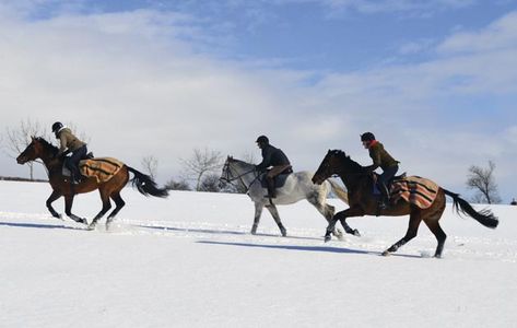 Groupies Aesthetic, Horse Riding In Snow, Country Best Friends, Horses In Snow, Faster Horses, Winter Horse, Deep Snow, Horse Care Tips, Horse Galloping