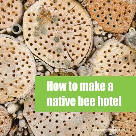 Bee Hotel Design, Bee Hotels, Ant Colony, Habitat Garden, Garden Magazine, Bee Hotel, Bug Hotel, Insect Hotel, Bee House