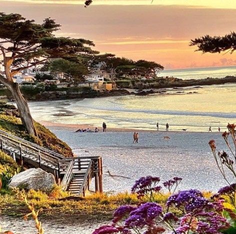 Carmel By The Sea Beach, Carmel California Photography, Carmel Beach California Photos, Carmel California Aesthetic, Carmel By The Sea Aesthetic, Caramel By The Sea, Carmel By The Sea California, Village By The Sea, Salinas California