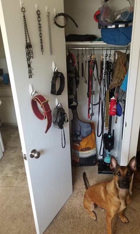 Dog closet organization Dog Fostering Room, Dog Wardrobe Closet, Dog Gear Wall, Dog Gear Organization, Dog Clothes Storage, Dog Gear Storage, Dog Training Room, Dog Stuff Organization, Dog Closet