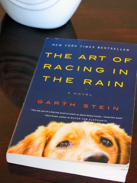 the art of racing in the rain Racing In The Rain, Tell Me A Story, Water For Elephants, Running In The Rain, To Be Read, Old Soul, I Passed, The Crazy, Book Authors