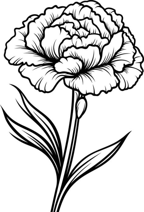 Carnation Drawing, Wedding People, Tree Saw, Door Design Interior, Carnation Flower, Cityscape Photos, Logo Banners, Flower Svg, Nature Backgrounds