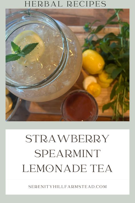 Jar of lemonade with mint and lemons Spearmint Iced Tea, Fresh Spearmint Recipes, Iced Spearmint Tea, Iced Spearmint Tea Recipe, Spearmint Tea Recipe, Herbal Lemonade, Spearmint Recipes, Herb Teas, Iced Herbal Tea