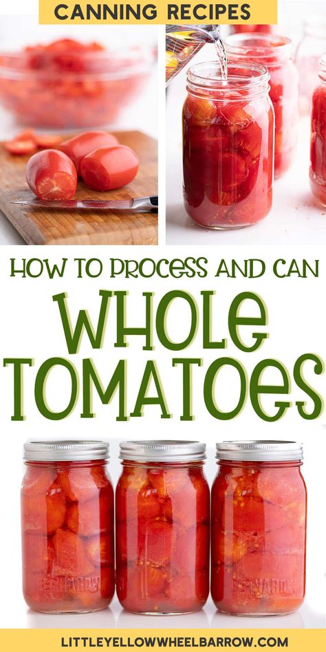 How To Store Tomatoes, Canning Tomatoes Recipes, Canning And Preserving, Canning Process, Canning Whole Tomatoes, Canning Tips, Tomatoes Recipe, Easy Cold, How To Peel Tomatoes