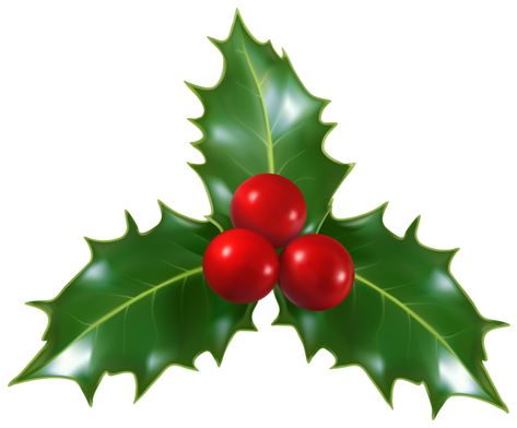 Christmas Holly Images, Holly Clipart, Christmas Clipart Free, Christmas Leaves, Christmas Plants, Holly Leaves, Christmas Frames, Holly Leaf, Christmas Holly