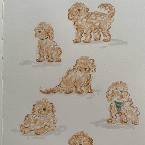 Goldendoodle Sketch Simple, Goldendoodle Cartoon Drawing, Dog Illustration Procreate, Dog And Cat Drawing Simple, Small Dog Illustration, Cavapoo Cartoon Drawing, Golden Doodle Embroidery, Cavoodle Drawing, Cockapoo Sketch