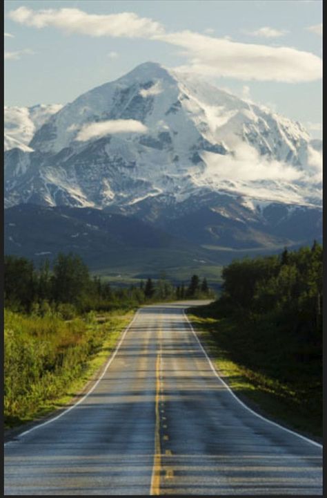 Denali - Alaska Road To Mountains, Denali Alaska, Mountains Photo, Maroon Bells, Flat Design Illustration, Photography Templates, Alaska Travel, Colorado Mountains, Most Beautiful Places