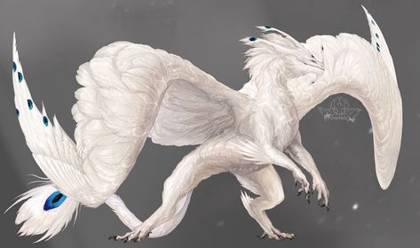 White Dragon Character Design, White Feathered Dragon, Fluffy Dragon Art, White Dragon Art, Fuzzy Dragon, Fluffy Dragon, Air Dragon, Feathered Dragon, Gryphon Art