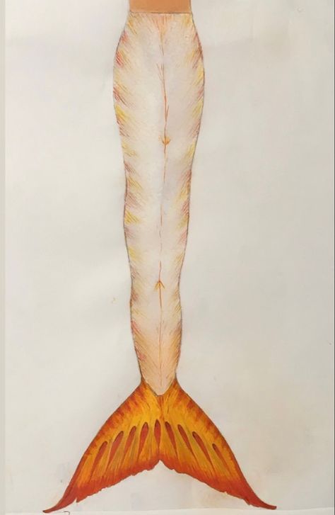 Boba Bubbles, Tail Sketch, Mako Mermaids Tails, H2o Mermaid Tails, Boba Story, Mermaid Tail Fin, Mako Island Of Secrets, Mermaid Journal, Silicone Mermaid Tails