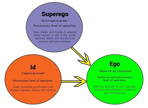 Id Ego Superego, Book Reflection, Psychodynamic Therapy, Psychology Revision, Freud Theory, Social Work Exam, Psychology A Level, Teaching Psychology, Theories Of Personality