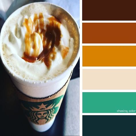 Shades Of Starbucks Caramel (Photo Credit • Kaite Chase)#chasingcolor #colorthemes #colorful #color #palette #colorpalette #shades #tones #hues #colorinspiration #inspiration #creative #art #photography #design #theme #starbucks #coffee #caramel Colorful Color Palette, Paint Pallette, Color Palette Interior Design, Coffee Caramel, Starbucks Caramel, Create Color Palette, Interior Design Color, Design Theme, Colour Board