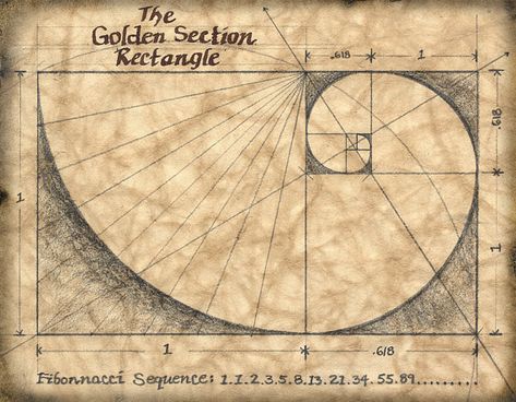 Golden Section, Golden Mean, The Golden Mean, Divine Proportion, Fibonacci Sequence, Fibonacci Spiral, Beach Necessities, Sacred Geometry Art, Sacred Architecture