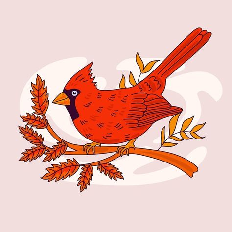 Free vector hand drawn cardinal bird ill... | Free Vector #Freepik #freevector #bird-illustration #illustrations #feather-illustration #handdrawn Cardinal Bird Illustration, Cardinal Illustration, Koi Fish Illustration, Illustration Cute, Fish Illustration, Cardinal Bird, Robin Bird, Christmas Bird, Cardinal Birds