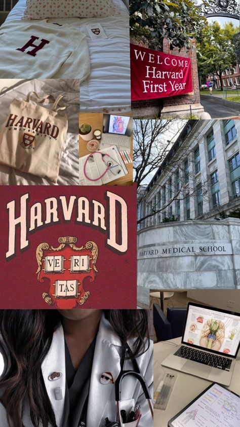 Harvard Medical School, Medical School, University, Medical, Collage