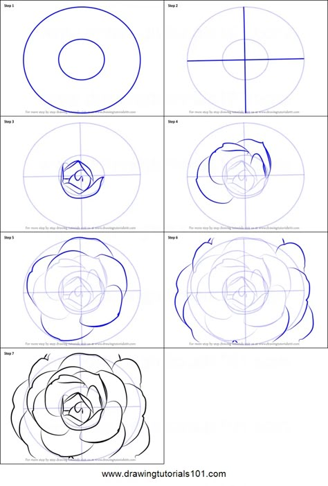 How to Draw a Camellia Flower printable step by step drawing sheet : DrawingTutorials101.com Camellia Flower Sketch, Camilla Flower Drawing, Camellia Flower Painting, Drawing 101 Step By Step, Camellia Flower Illustration, Camelia Watercolor, Camelia Drawing, How To Draw Roses Step By Step, Camellia Flower Drawing