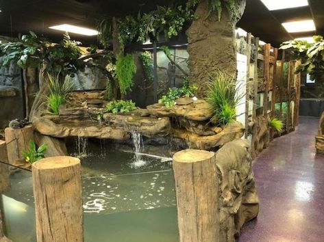 Zoo Reptile House, Cool Reptile Enclosures, Planet Zoo Reptile House, Reptile House Zoos, Reptile Enclosure Ideas, Reptile Room Ideas, Iguana Enclosure, Reptile Rack, Reptile Tanks