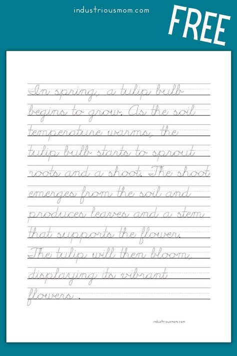 Free cursive tracing pages with small font, traditional cursive letters, Free Cursive Worksheets, Handwriting Practice Sentences, Cursive Handwriting Sheets, Cursive Tracing, Cursive Practice Sheets, Practice Cursive, Cursive Letters Worksheet, Anger Worksheets, Handwriting Cursive