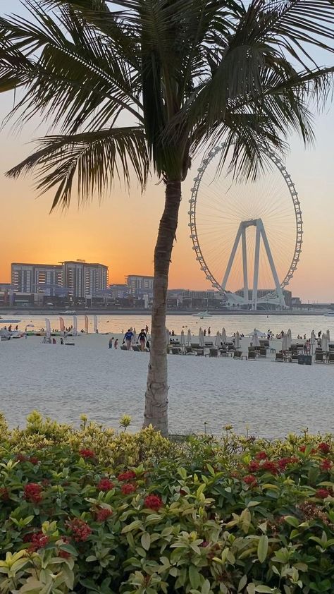 Dubai Beach Photography, Dubai Beach Aesthetic, Dubai Aesthetic Photography, Dubai Photography Ideas, Dubai Vibes, Dubai Sunset, Aesthetic Dubai, Sunset Video, Dubai Photography