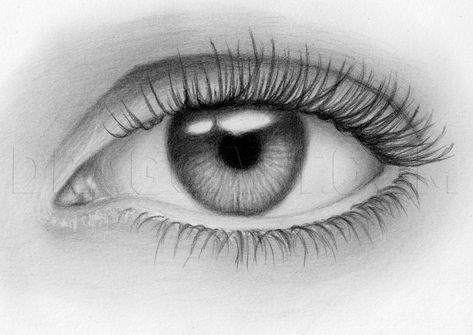 Trichotillomania Art, Trichotillomania Quotes, Trichotillomania Eyelashes, Human Eye Drawing, Optical Illusion Paintings, Human Face Drawing, Eye Outline, Realistic Eye Drawing, Draw Realistic