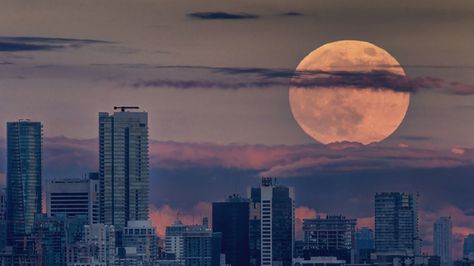 Catch a Super Blue Moon in August 2023 Full Moon Cycle, Moon 2023, Full Blue Moon, Sturgeon Moon, Types Of Blue, Moon Time, Full Moon Rising, Big Moon, Closer To The Sun