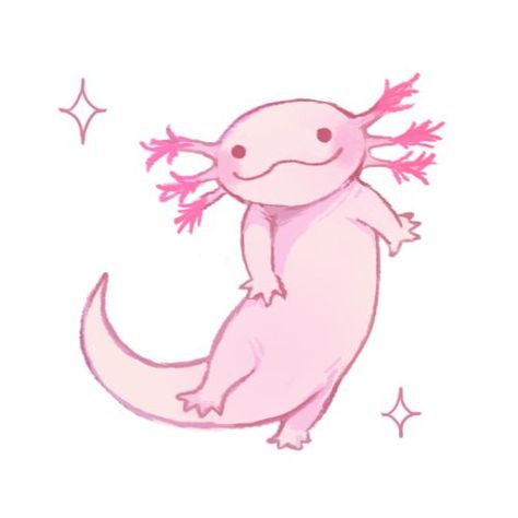 Drawings Of Axolotls, Drawing Of Axolotl, Axolotl Drawing Reference, Cute Drawings Axolotl, Axolotl Cartoon Drawing, How To Draw A Axolotl, Axolotl Drawing Simple, Axolotl Reference, Axolotl Cute Drawing