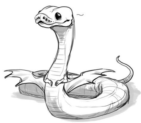 Here Be Dragons Snake Noodle, Snake Doodle, Snake Sketch, Tattoo Painting, Snake Drawing, Art Sketches Doodles, Cute Reptiles, Cute Snake, Snake Art