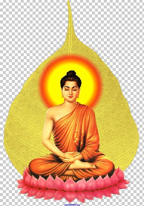 Buddha Teaching, Buddha Birthday, Buddhism Wallpaper, Hd Photos Free Download, Buddha Canvas, Buddha Art Drawing, Indian Constitution, Buddha Tattoo, Buddha Life