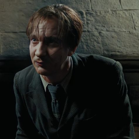 Remus Lupin David Thewlis, Remus Lupin Pfp, Remus Lupin Wolf, Remus Lupin Icons, Professor Lupin, Remus Lupin Sirius Black, Remus Lupin Aesthetic, Lupin Harry Potter, David Thewlis