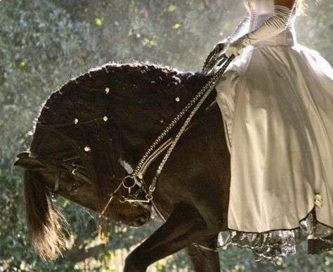 Fair maiden in flowing skirts riding a dark stallion. Fantasy. Warrior Princess Aesthetic, Medieval Princess, Horse Photographer, Medieval Aesthetic, Fairytale Aesthetic, Last Unicorn, Horse Aesthetic, Bride Of Christ, Poses References