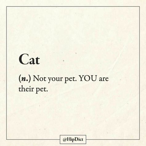 If Dictionaries Were Honest, Cat Definition Quote, Funny Definition Humor, Funny Definition Hilarious, Aesthetic Words Definition, Cat Quotes Instagram, Dictionary Words Aesthetic, Definitions Aesthetic, Cat Definition