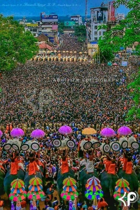 Thrissur pooram Pooram Kerala, Thrissur Pooram, Good Morning Clips, Elephant Photography, Kerala Travel, Eminem Photos, Amazing India, Health Unit, Elephants Photos