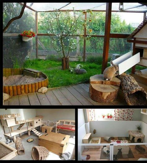 Wow! Love them all....but especially the enclosed outdoors! Via Best for Bunny! Large Outdoor Rabbit Enclosure, Diy Outdoor Bunny Enclosure, Bunny Set Up Outdoor, Outside Bunny Enclosure, Bunny House Outdoor, Rabbit Hutch Outdoor, Outdoor Rabbit Run, Rabbit Playground, Playground Diy