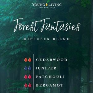 Patchouli Blends, Diy Diffuser Blends, Diy Diffuser, Diffuser Blends Young Living, Savvy Minerals, Ningxia Red, Essential Oil Combinations, Essential Oils 101, Essential Oil Diffuser Blends Recipes