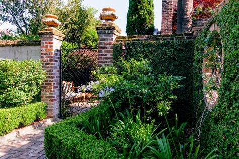 Tour a Formal Charleston Walled Garden | HGTV Formal Tropical Garden, Courtyard Homes, Italian Cypress Trees, Landscaping Shrubs, Charleston Gardens, Southern Garden, Walled Garden, Patio Plants, Brick Patios