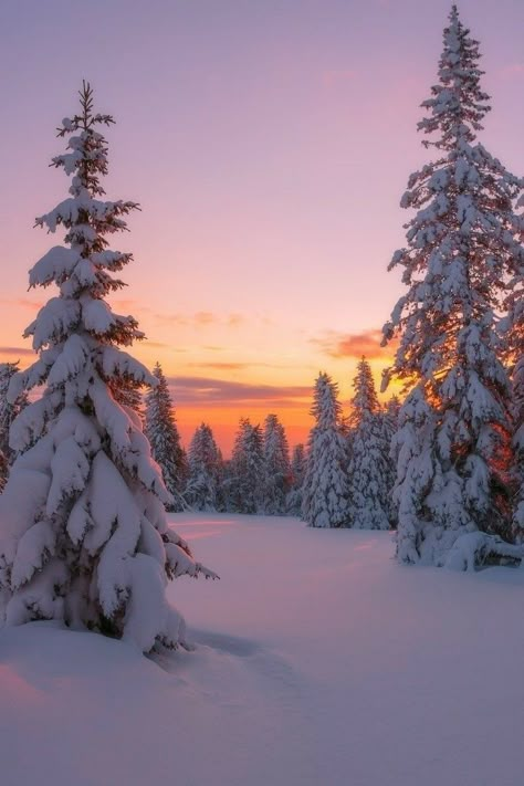 Winter Sunset, Winter Nature, Pretty Landscapes, Winter Wallpaper, Winter Scenery, Winter Pictures, Winter Wonder, Winter Aesthetic, Alam Yang Indah