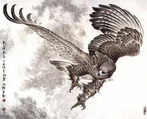 Japanese Eagle Tattoo, Falcon Tattoo, Hawk Tattoo, Eagle Drawing, Eagle In Flight, Eagle Tattoos, Eagle Art, Eagle Tattoo, Japanese Tattoo Art