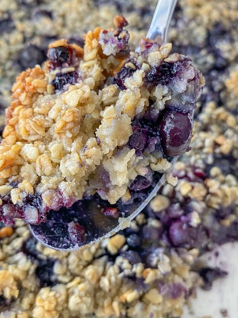 Blueberry Baked Oatmeal, Blueberry Oatmeal Bake, Chocolate Loaf Cake, Vegan Breakfasts, Baked Oatmeal Recipes, Blueberry Oatmeal, Vegan Blueberry, Easy Blueberry, Vegan And Gluten Free