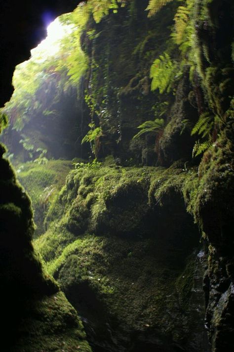 Devil's Cauldron, Dartmoor, Devon, England. Nanda Silva Dartmoor Devon, Dartmoor National Park, Into The West, Mystical Places, Devon And Cornwall, Devon England, Somerset, Natural Wonders, Nature Pictures