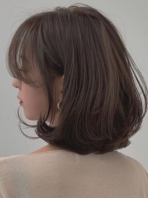 Korean fall hair color: ash brown short hair Korean Hair Color Shorthair, Korean Fall Hair Color, Ash Brown Short Hair, Korean Brown Hair, Hair Color Ash Brown, Japanese Hair Color, Brown Hair Korean, Dark Silver Hair, Hair Color Ash