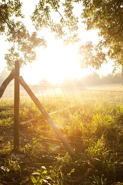 Esthetician Esthetics, My Jesus, Indian Summer, End Of Summer, I Pray, Beautiful Photography, Country Life, My Works, Golden Hour