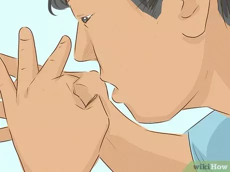 3 Ways to Practice Kissing - wikiHow Practice Kissing, Most Romantic Kiss, Kiss Tips, Kissing Technique, Tongue Kissing, Types Of Kisses, People Kissing, Cheek Kiss, Cute Kiss